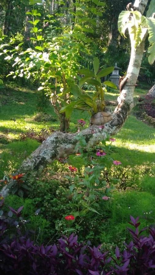 Balian Bliss Retreat Resort - Adults Only Экстерьер фото